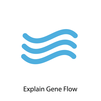 gene flow ap bio