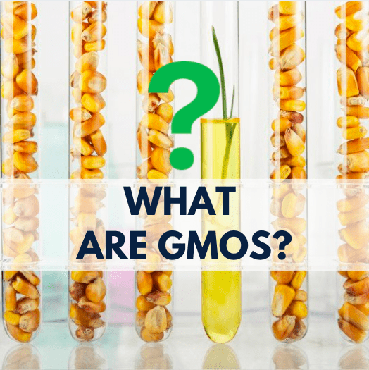 corn kernels in test tubes, green question mark and navy blue text